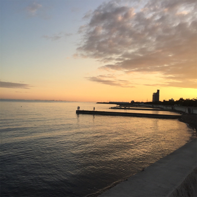 ミッドナイトアジング