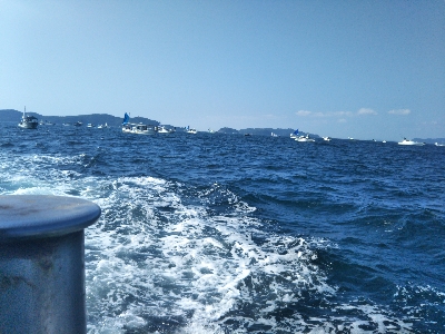 今日は五目釣り?