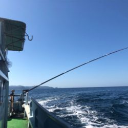 初島沖で船釣り