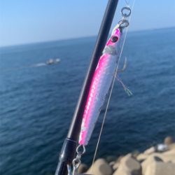 朝まづめのショアジギング