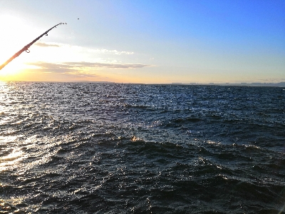 ショートバイトで4匹
