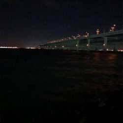 シーズン来たかな