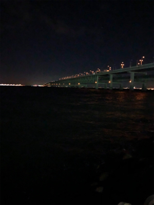 シーズン来たかな