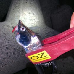 どうにかなった。