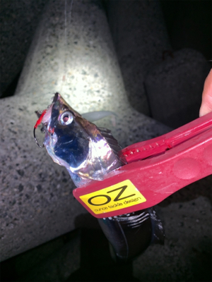 どうにかなった。