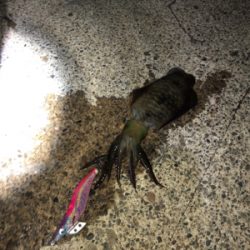 追い風を背に受けて!届け女神様♡