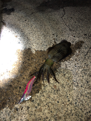 追い風を背に受けて!届け女神様♡