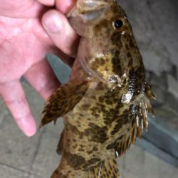 神聖なところで釣り遊び