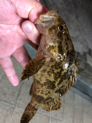 神聖なところで釣り遊び