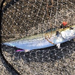 連チャンポーアイ沖堤