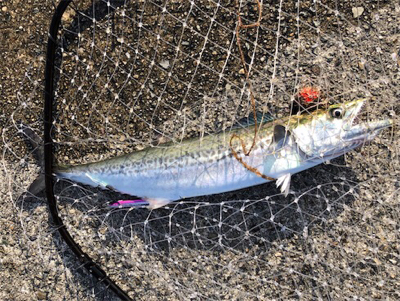 連チャンポーアイ沖堤