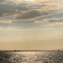 久しぶりのエサ釣り