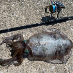 キロアップ含む3杯