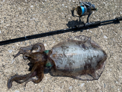 キロアップ含む3杯