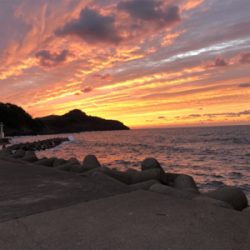 エギングからのショアジギ