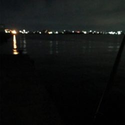 ケンサキとアオリGET (^^)