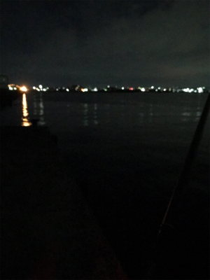 ケンサキとアオリGET (^^)