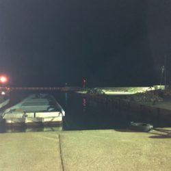 短時間エギング