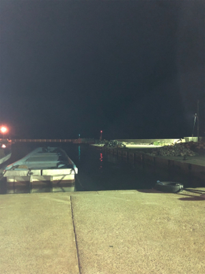 短時間エギング