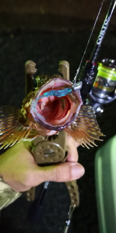 アジング練習20