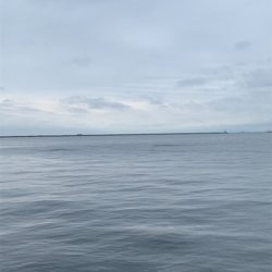 寝坊で遅刻と届かぬナブラ