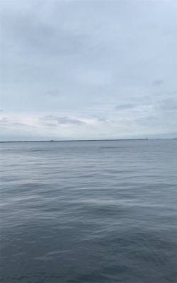 寝坊で遅刻と届かぬナブラ