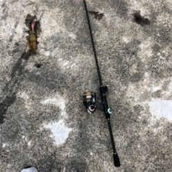 爆風釣行２日目