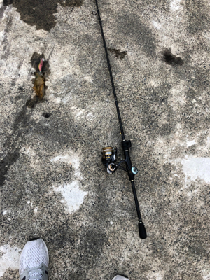 爆風釣行２日目