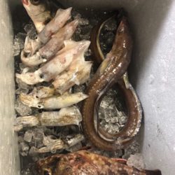 ちょこっと釣行