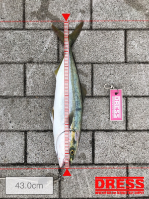 渋い中、粘って粘って…