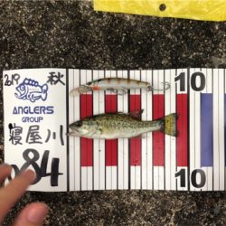 爆釣モード突入！！！！？