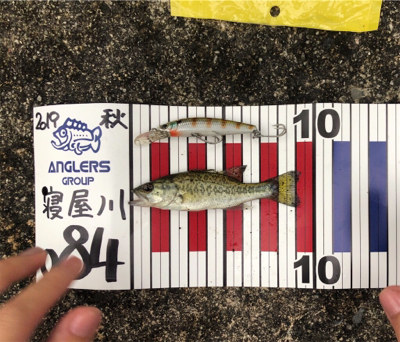 爆釣モード突入！！！！？