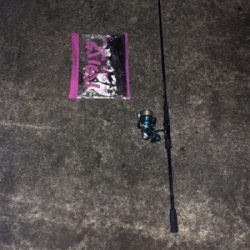 夕マズメのみの釣行