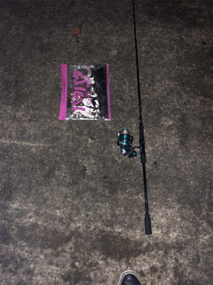 夕マズメのみの釣行