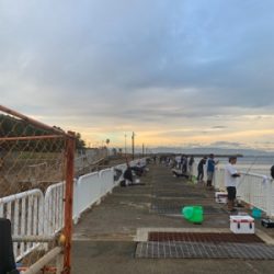 太刀魚＆ハマチ