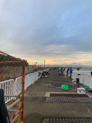 太刀魚＆ハマチ