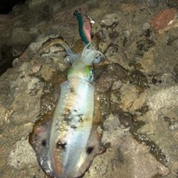 台風前の海が呼んでる!(^ ^)