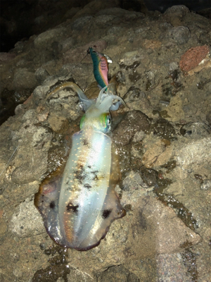 台風前の海が呼んでる!(^ ^)