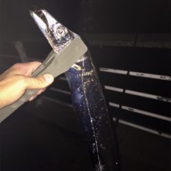 アタリ少ないですがやっと入ってきた!