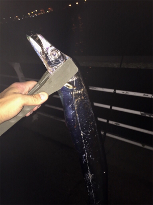 アタリ少ないですがやっと入ってきた!