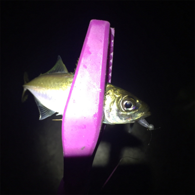 タチウオフィーバーで人居過ぎ