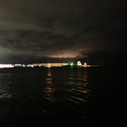 今季初タチウオ