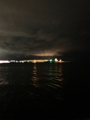 今季初タチウオ