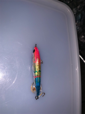 シャローエリア 水深約80cmでシーバス (フラペンs65)