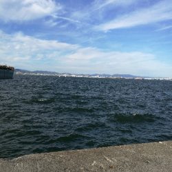 武庫一　夕まづめ釣行