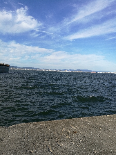 武庫一　夕まづめ釣行