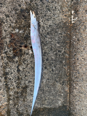 ショアジギング