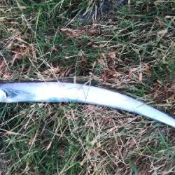 LSJigginger0515〜0555