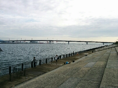 タチウオ釣れずハマチは釣れた