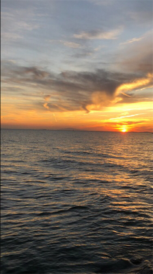 ぼちぼち上がりだしました。